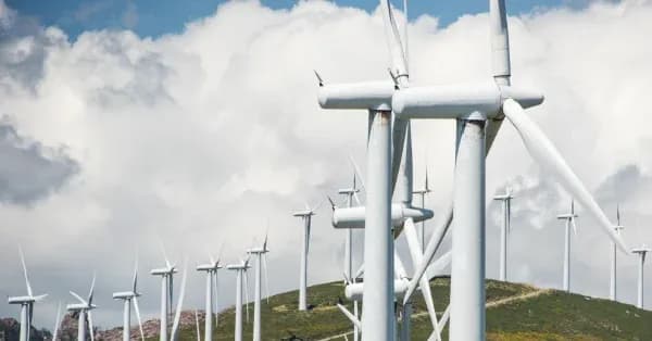 Ile kosztuje elektrownia wiatrowa? Sprawdź, co musisz wiedzieć